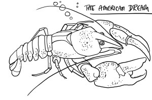 SignalCrayfish1