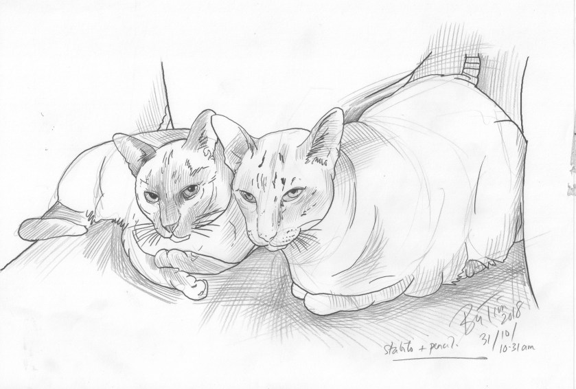 hanim and bey by Tim 31 10 2018.jpg