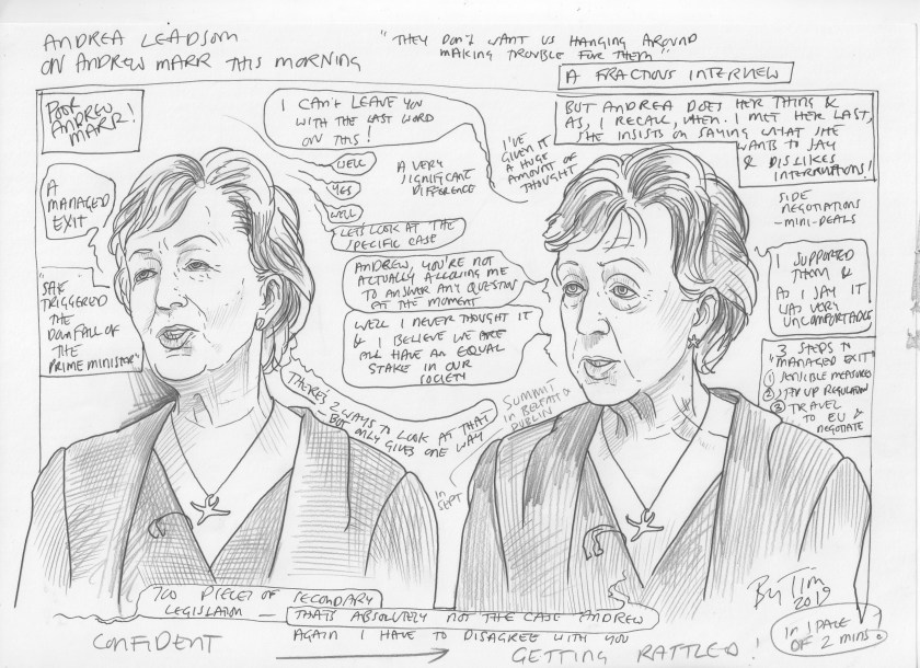 andrea leadsom getting rattled by Andrew marr by TIM.jpg